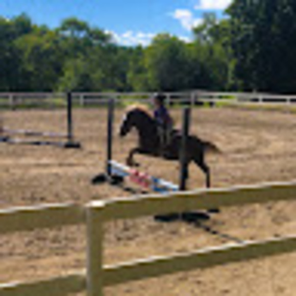 Meet your Posher, Cara - Picture 1 of 1